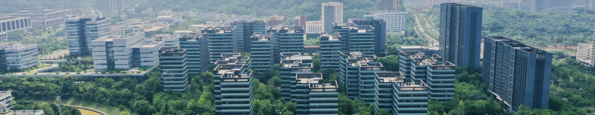 組織架構(gòu)